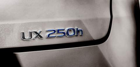 Close up of the UX 250h badge